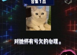 娱乐新闻吃瓜